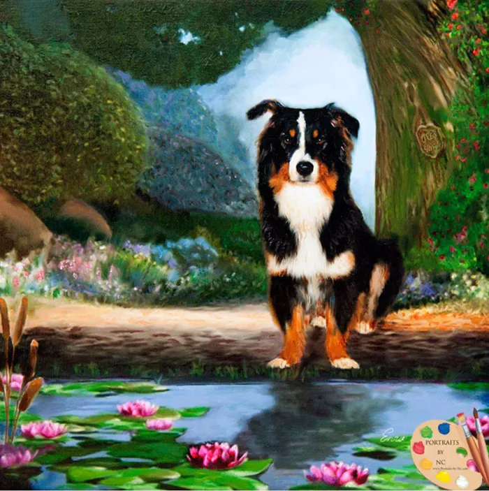 Border Collie Dog by Pond Digital Pet Portrait Portraits by NC Earrings