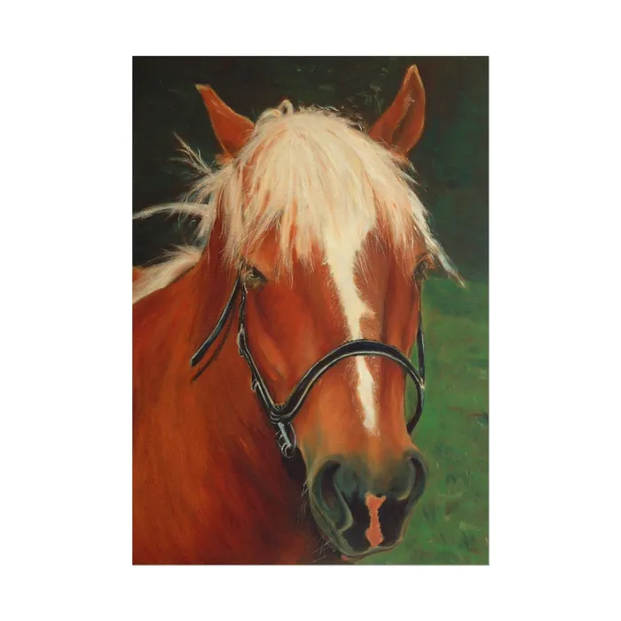 Earrings Portraits by NC Rolled Posters Brown Horse Art Poster