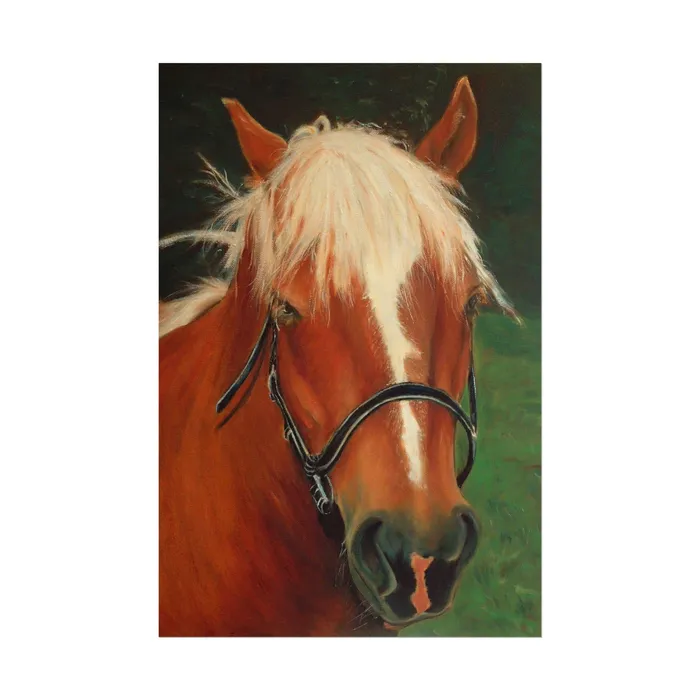 Earrings Portraits by NC Rolled Posters Brown Horse Art Poster
