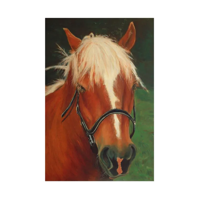 Earrings Portraits by NC Rolled Posters Brown Horse Art Poster