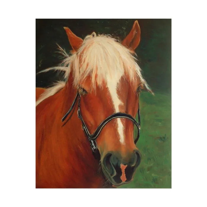 Earrings Portraits by NC Rolled Posters Brown Horse Art Poster