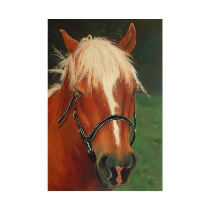 Earrings Portraits by NC Rolled Posters Brown Horse Art Poster