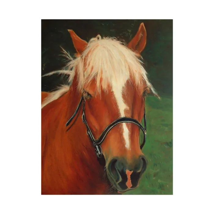 Earrings Portraits by NC Rolled Posters Brown Horse Art Poster