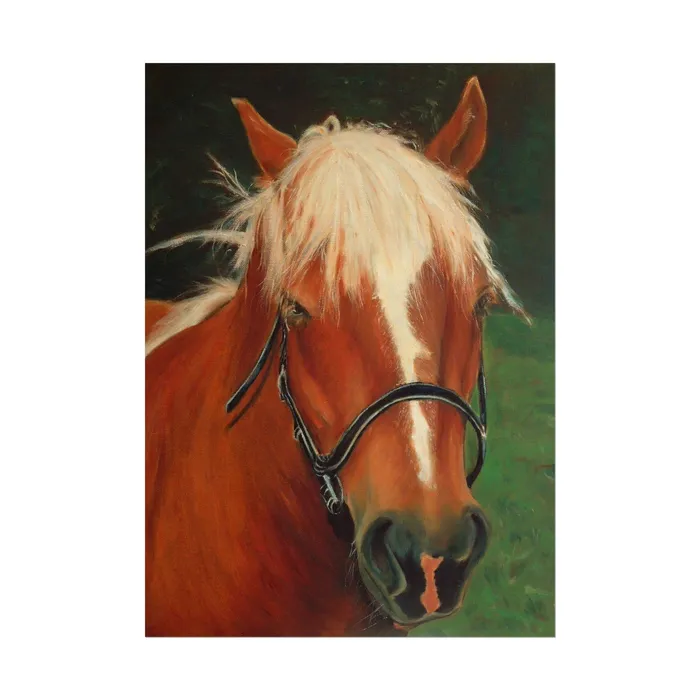 Earrings Portraits by NC Rolled Posters Brown Horse Art Poster
