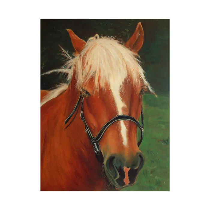 Earrings Portraits by NC Rolled Posters Brown Horse Art Poster