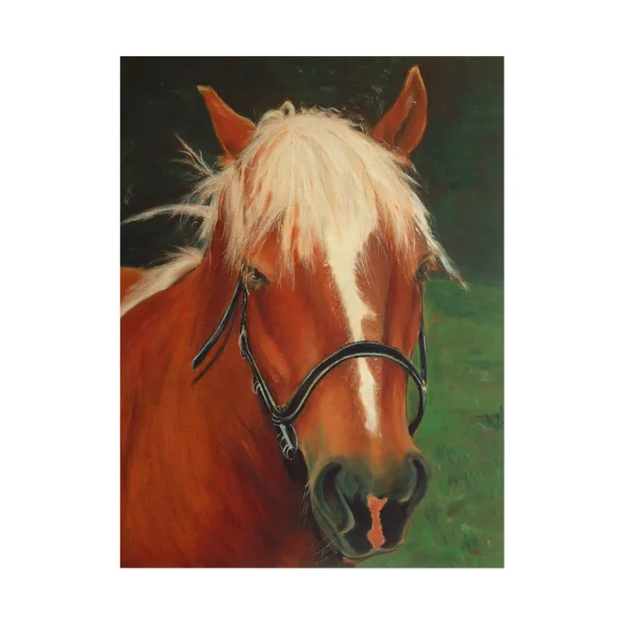 Earrings Portraits by NC Rolled Posters Brown Horse Art Poster
