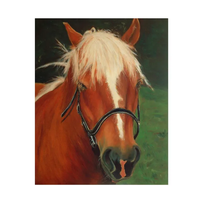 Earrings Portraits by NC Rolled Posters Brown Horse Art Poster
