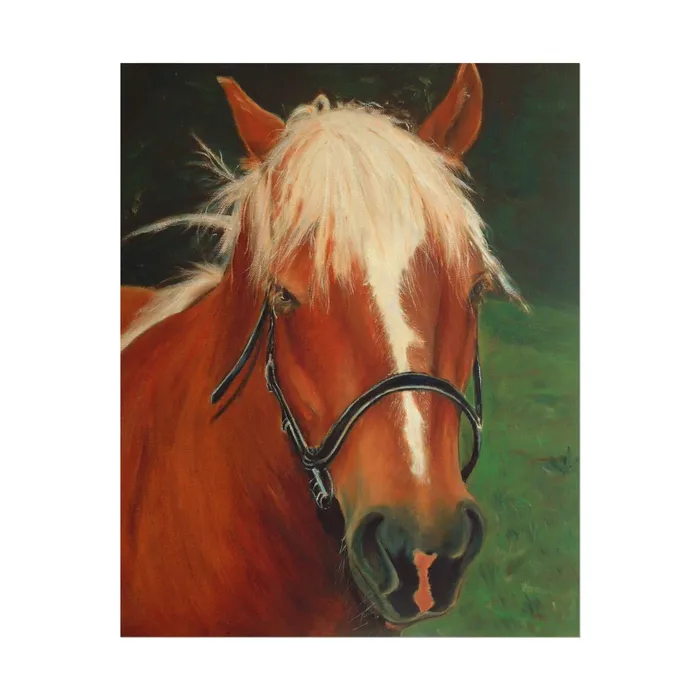 Earrings Portraits by NC Rolled Posters Brown Horse Art Poster