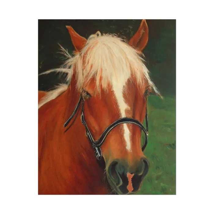 Earrings Portraits by NC Rolled Posters Brown Horse Art Poster