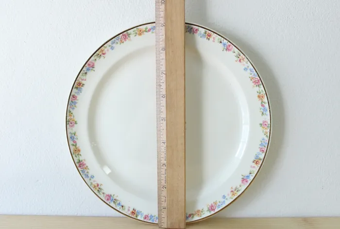 Taylor Smith USA Earrings Taylor Smith USA Dinner Plate 9