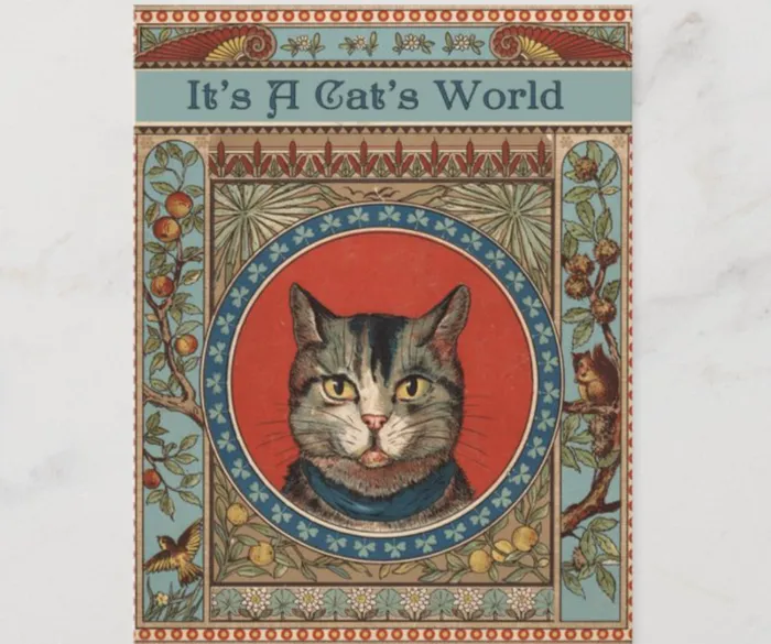 ZAZZLE Earrings Vintage Cats Life for Kitty Cat Classic Postcard