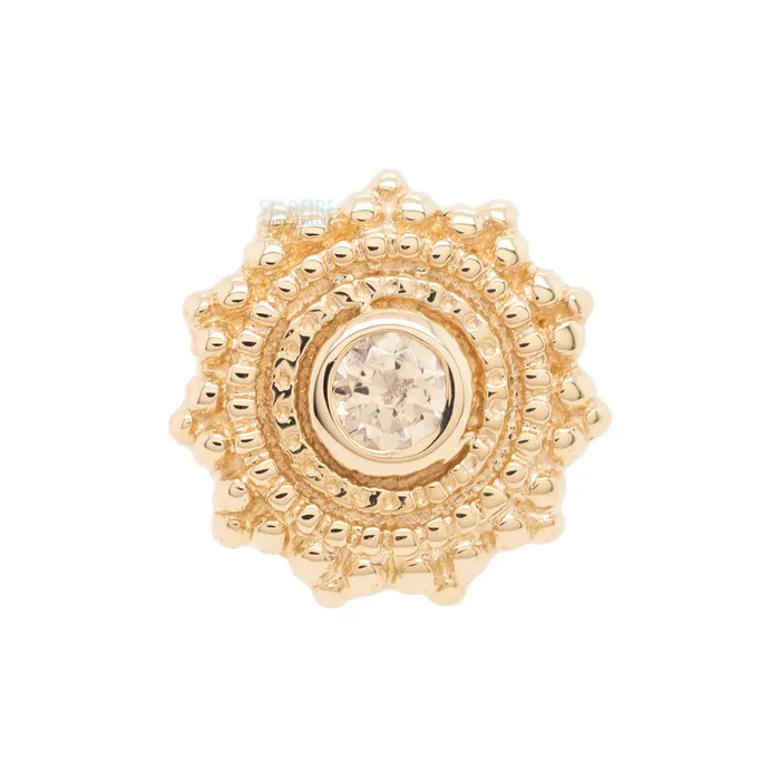 Body Vision BVLA Earrings threadless Round Afghan Pin in Gold with Champagne CZ
