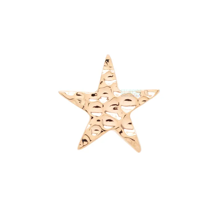 Earrings Body Vision BVLA Flat Star Threaded End HAMMERED FINISH in Gold