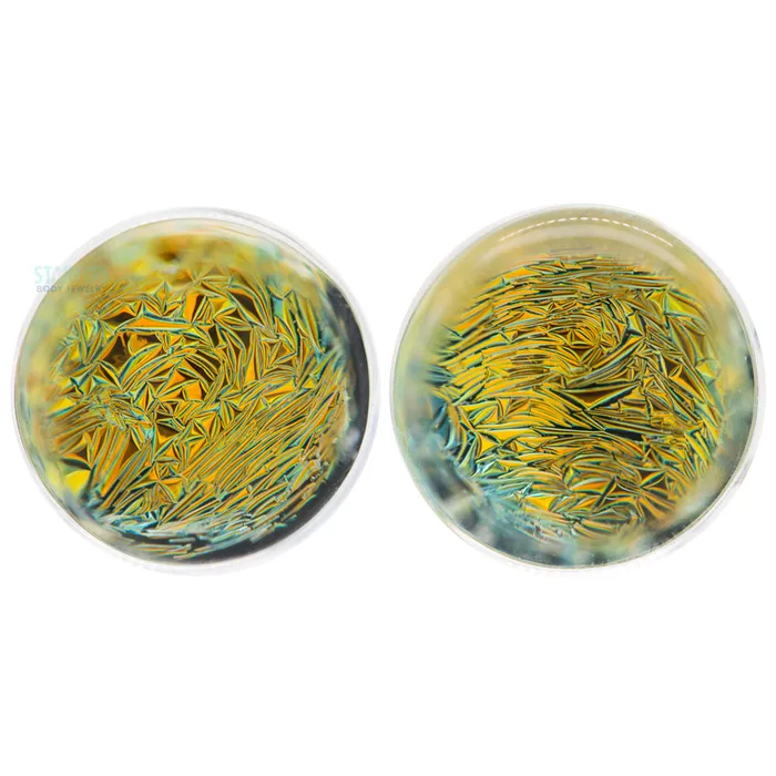 Glasswear Studios Foil Glass Plugs Gold on Black Earrings