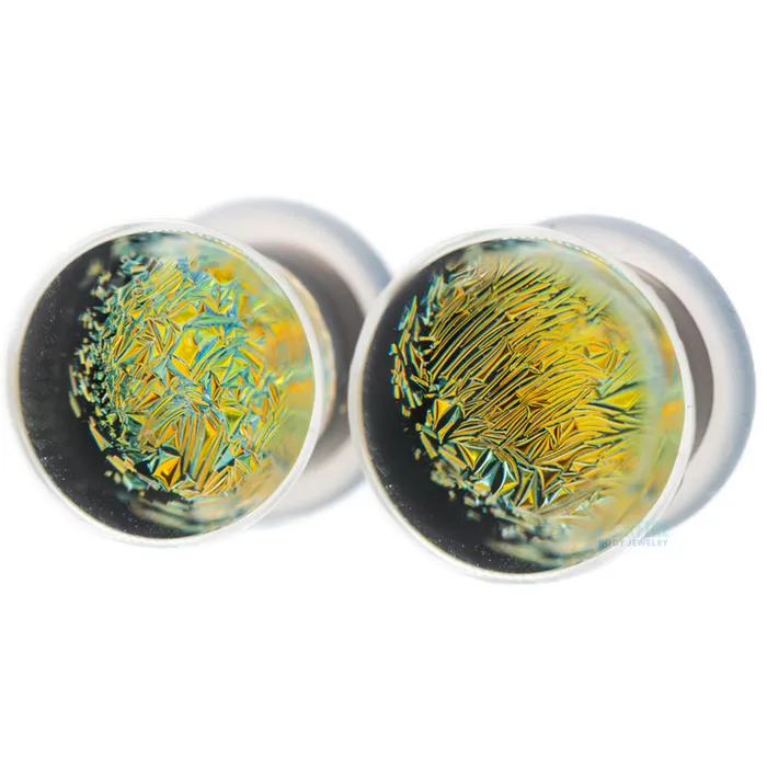 Glasswear Studios Foil Glass Plugs Gold on Black Earrings