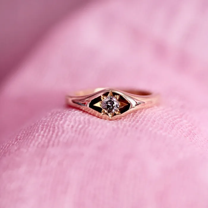 Black Magic Salt Pepper Diamond Signet Ring Kim Drosdick Rings