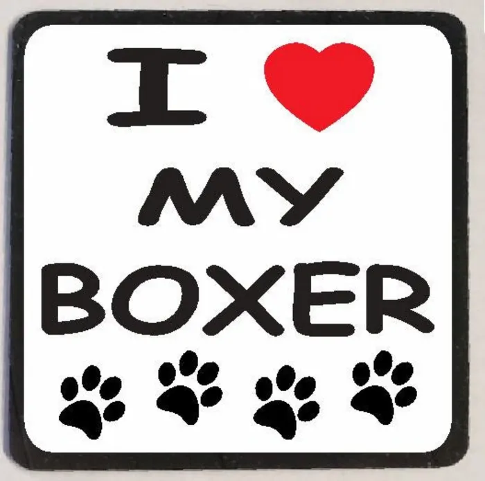 Earrings Iris Fashion Jewelry M111 I Love My Boxer