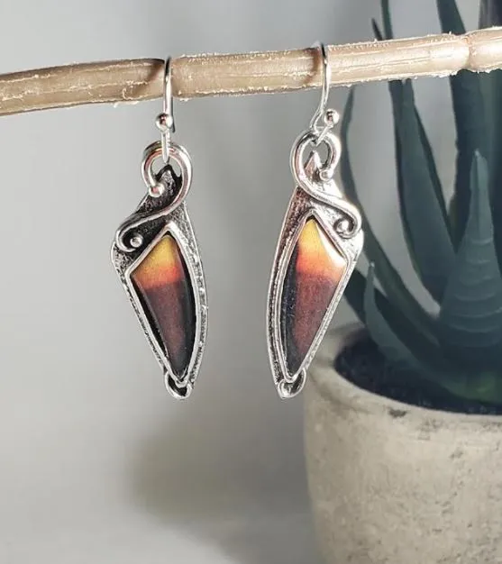 Earrings polly E860 Silver Two Tone Brown Earrings