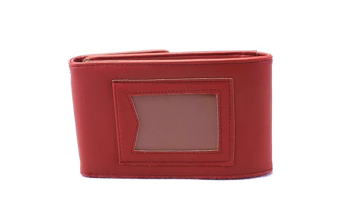 Earrings Walkeaze Women Stylish Wallet 2146W