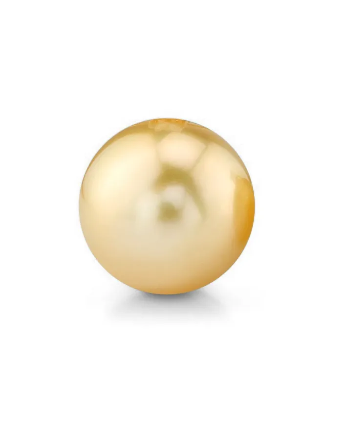 spt 11mm Golden South Sea Loose Pearl Earrings