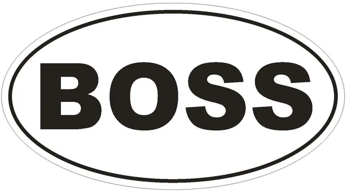 STD151 Boss Oval Bumper Sticker Winter Park Products Rings